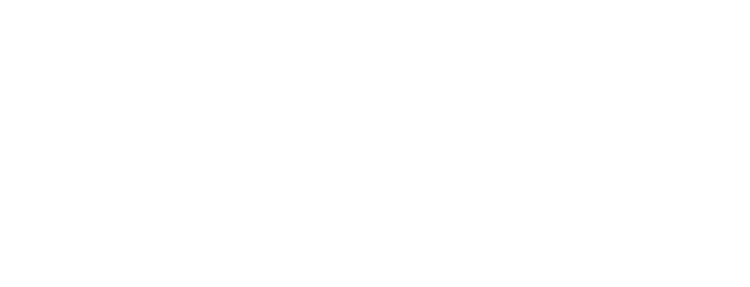 RevIA